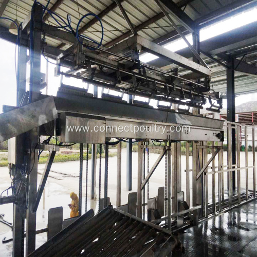 Poultry automatic processing equipment